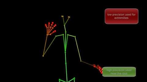 Rate-distortion Optimized Compression of Motion Capture Data