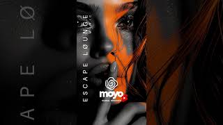 Escape Lounge Music #shorts #chillvibes #loungemusic