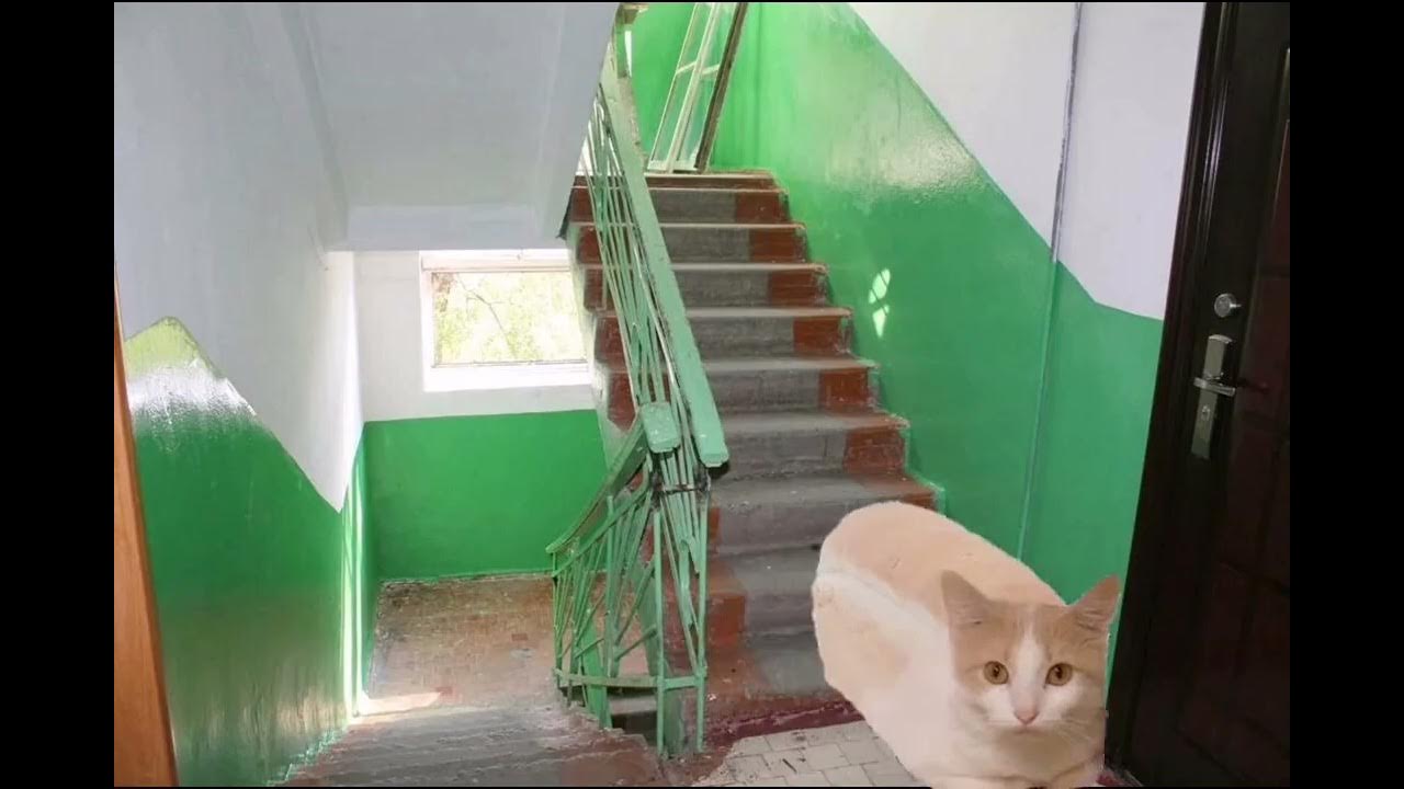 КОТОХЛЕБ Идёт За Сметаной Финальная Часть - YouTube