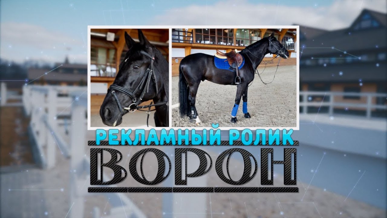 Создание Рекламных роликов под ключ Москва и область. - YouTube