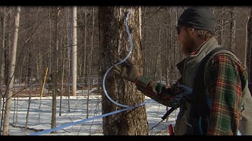 Modern Maple 5/16" Vacuum Tubing Systems