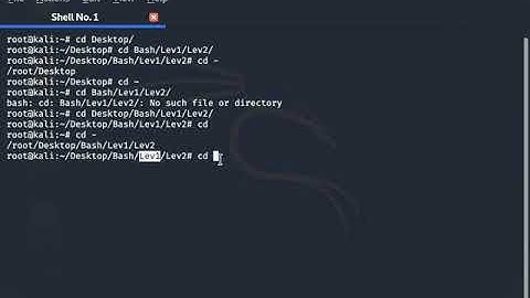 Bash Scripting Language  cd command
