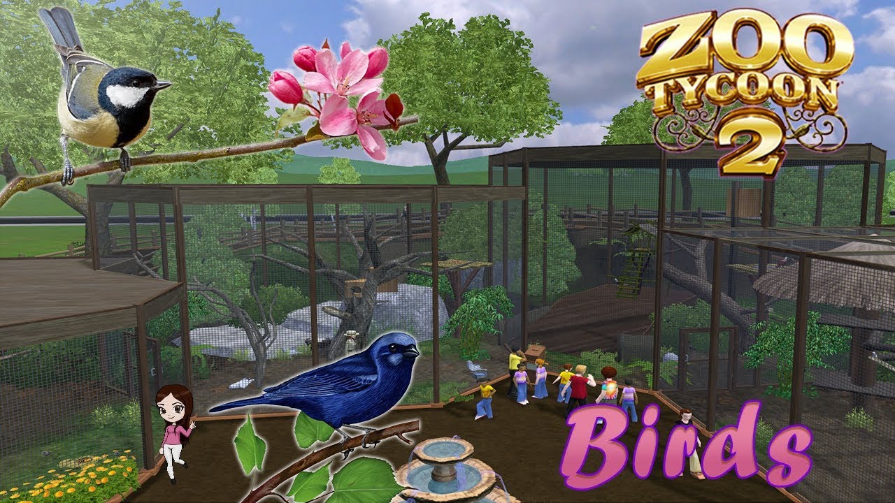 Aviary for Small and Large Birds  Zoo Tycoon 2 Complete Collection Speed  Build with Mods 