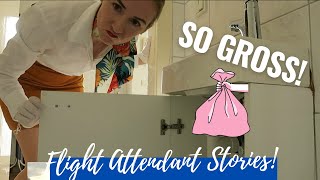 The Grossest Thing I found on Board! True Stories of a Flight Attendant by Ellie Away 1,323 views 3 years ago 7 minutes, 54 seconds