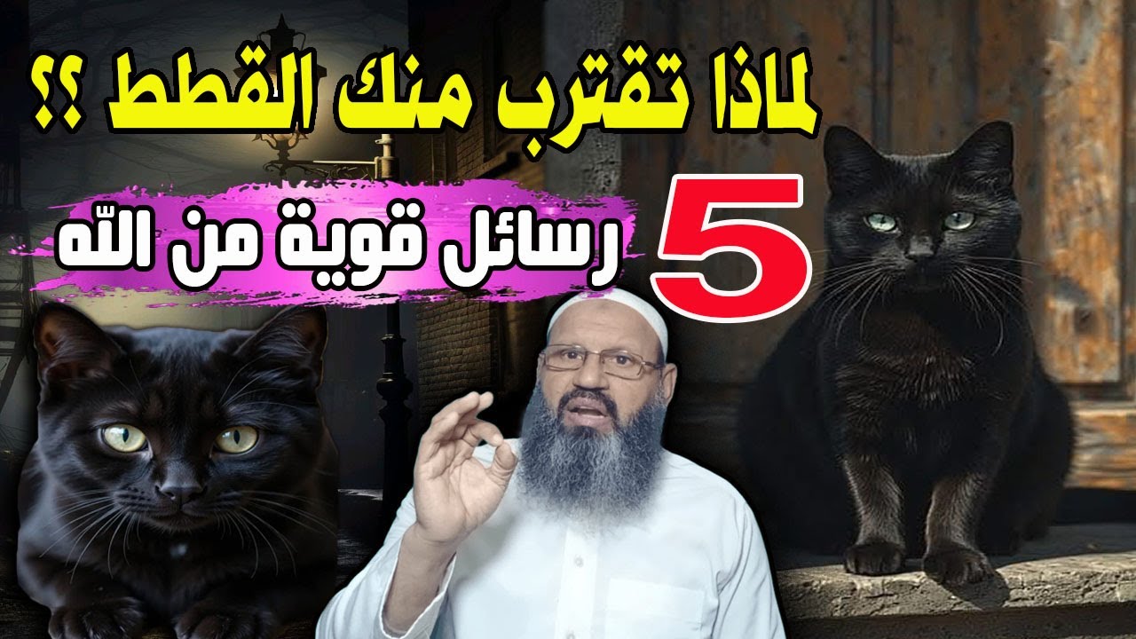 لماذا تقترب منك القطط فجأة؟ 5 رسائل قوية من الله... الخامسة ستدهشك!