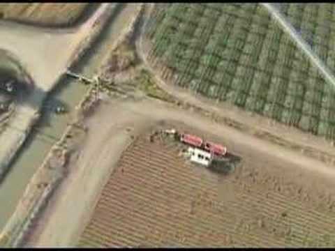 Powered Parachute Tomato Harvest