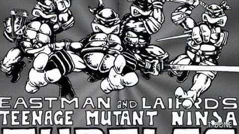 Heroes in a Half Shell (Teenage Mutant Ninja Turtles 30th Anniversary Retrospective)