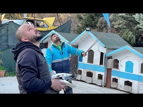 PERPA ARENA 1. Performans Dönek güvercin havada dönüş izle Dunek Pigeons roller Bursa Muradiye