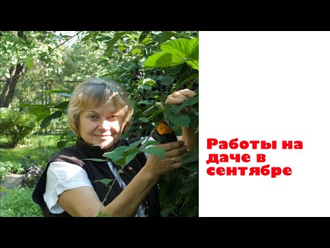 РАБОТЫ на ДАЧЕ