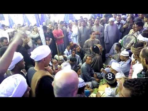 العصبه الهاشميه الشيخ محمود الصغير قناة شراب الوصال سيد هلال