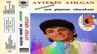 Aytekin Atılgan -  Nerede Dostlarım