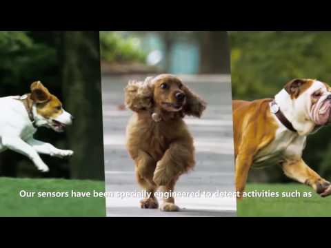 PetKit P2 monitor aktivity pro psy a kočky