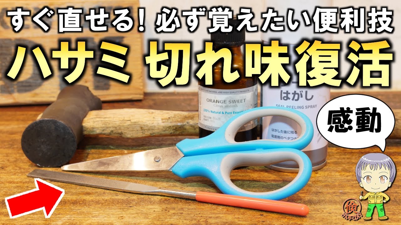 Amazing sharpness restored! Here are some essential scissors