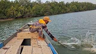 PEDAS TANGAN DI BUATNYA SAAT SENAR PANCING MENGENCANG KUAT, ALHAMDULILLAH REJEKI MASIH BERLIMPAH