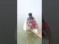 Fishing with Only mango bait 🥭😋 "part4" #fishing #fish #fishingvideo