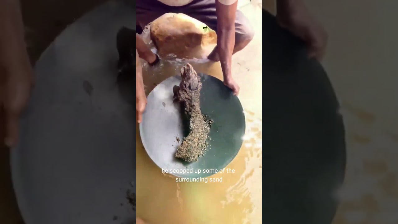 Buried Tree Roots Led to GOLD?! You Won’t Believe What He Found in the Sand! 😱🌲💰