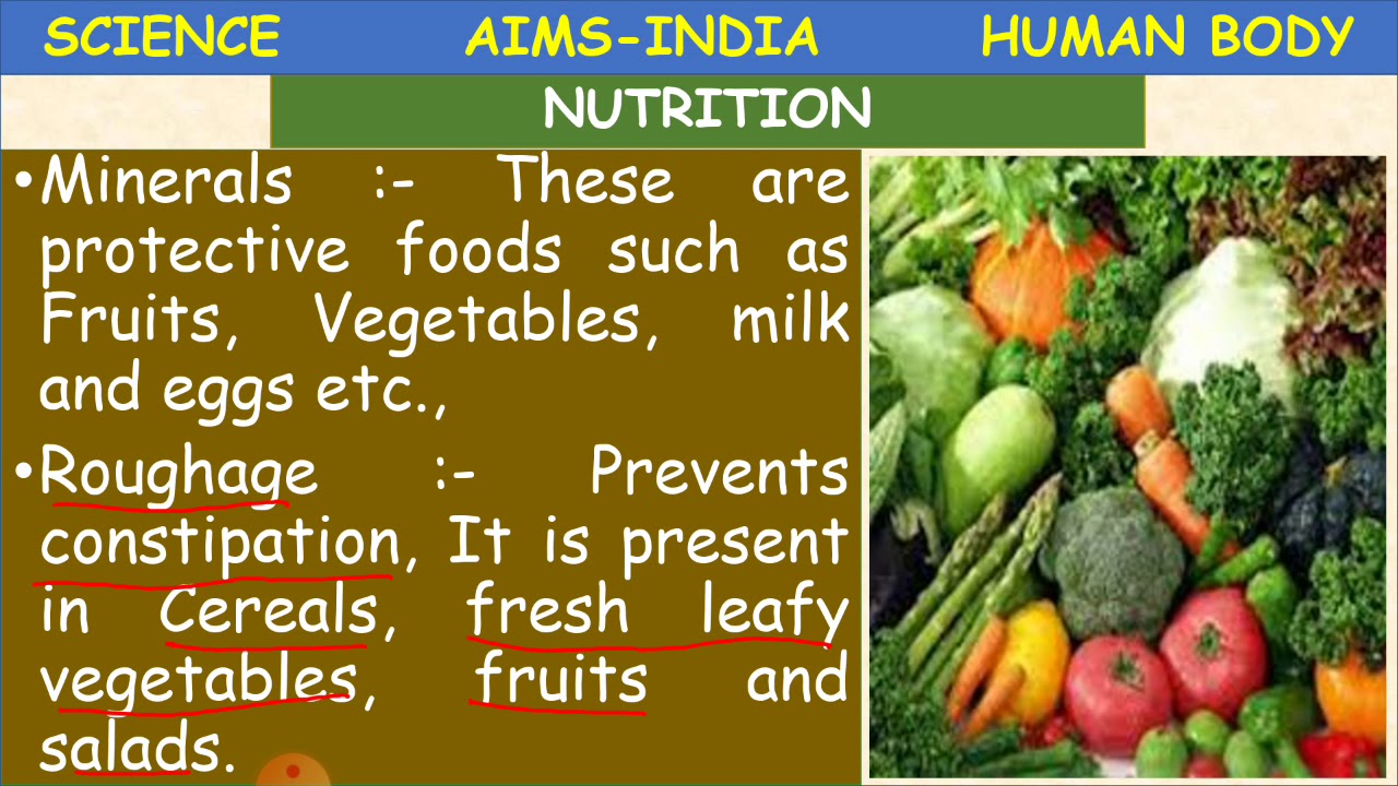 5TH | SCIENCE | HUMAN BODY | PART 04 | AIMS-INDIA - YouTube