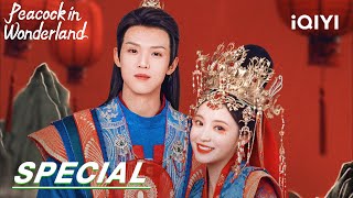 Special: Zhou Junwei falls in love with a time-traveling girl | PeacockinWonderland 孔雀圣使请动心 | iQIYI