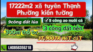 1 mẫu 7 xã tuyên Thạnh kiến tường long an 9 công lúa 5 công ao 3 công nền 300m2 thỗ cư 3tỷ900tr 