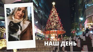 Рождественский Амман Christmas The Boulevard 🎄 Наш обычный день