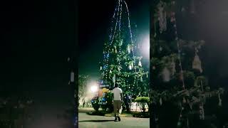Christmas 🌲tree #happychristmas #christmas #shorts #viral