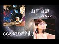 山口百恵 COSMOS(宇宙) cover