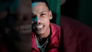 goat Ziggy 4x Slat Los