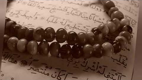 سورة الزلزلة _ محمود عبدالحكم
