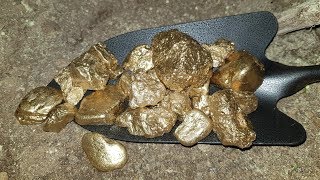 Huge Gold Nuggets Found in Mountain of Texas  (Gold Miner)