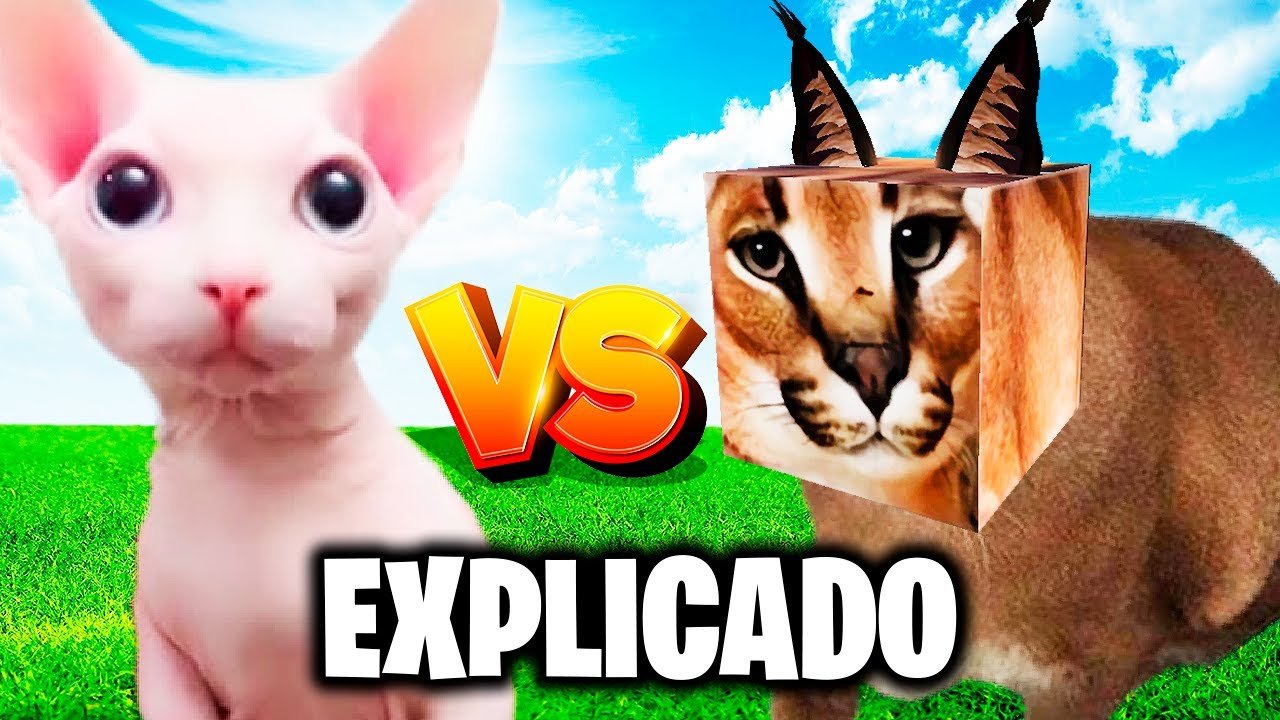 Quem é Big Floppa? Gato Gigante? #floppa #bigfloppa #meme #viral