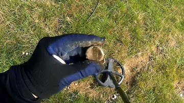 How to recognize bottle caps with the XP Deus