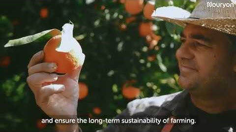 Even Greater Focus on Essential Chemistry - Micronutrients