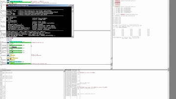 Set and remove Breakpoints in ollyDbg from Lua (mmbbq)