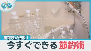 研究家が伝授！今すぐできる節約術【ぎゅっと】（2025年5月20日OA）
