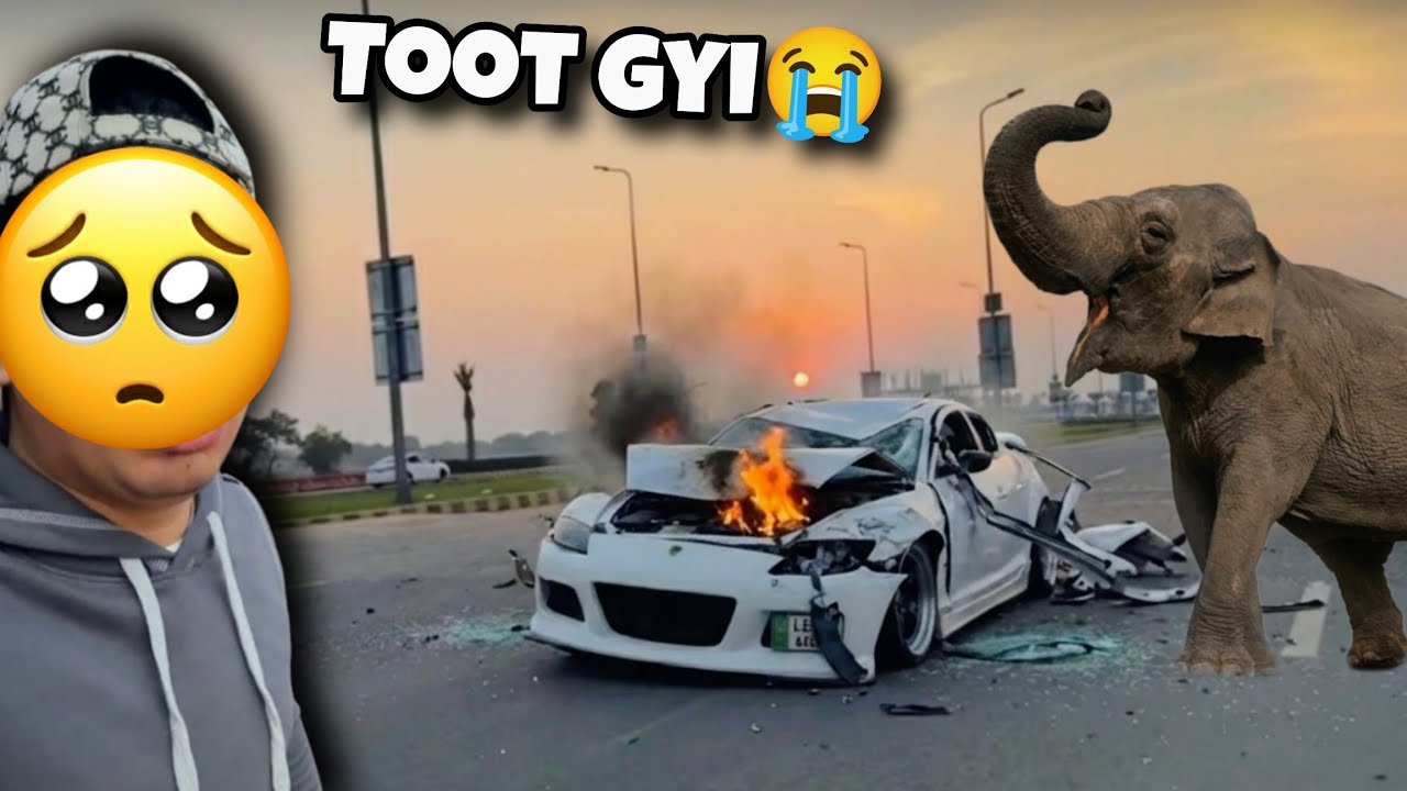Elephant Ne New Car 🚗 Tor Di 😭 Waleed Bhai Ki New Car Toot Gyi 😱