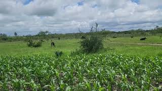 2 Acre Land for sale in Ndovoini Muthwani 12km from Joska, 7.5 Miles from Kangundo Rd, 0725 88 4003