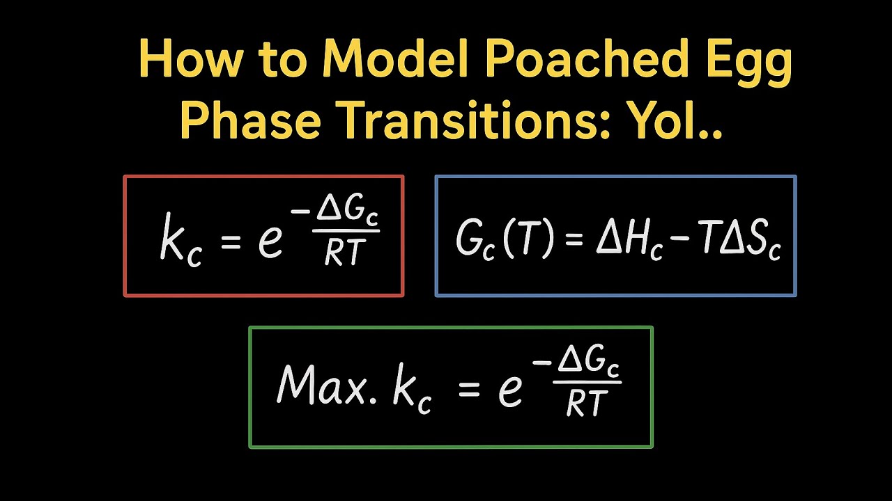 How to Model Poached Egg Phase Transitions: Yolk Coagulation at 62°C