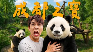 成都的另類旅遊方式｜跟很多隻熊貓近距離…｜幹話多過景點的行程😂【成都八點檔】