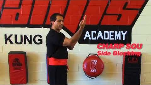 Mantis Kung Fu -  Martial Art - Gold Coast