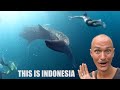 EXPLORING JURASSIC WORLD IN INDONESIA..🇮🇩