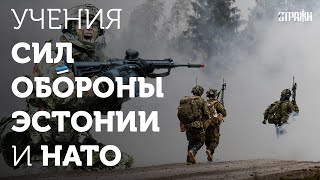 Интеграция НАТО и Сил обороны Эстонии на поле боя 🛡️⚔️