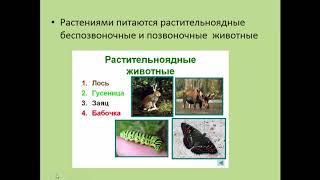 Биология. 9 класс. Биоценоз как сообщество живых организмов. Людмила Ивановна. Profi-Teacher.ru Биология. 9 класс. Биоценоз как сообщество живых организмов. Людмила Ивановна. Profi-Teacher.ru