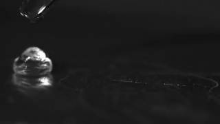 Water droplet bouncing at 9000 FPS