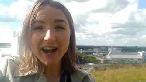 Ceri Brenner: Ratio 2019