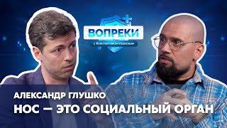 видео: Ринопластика сегодня || Александр Глушко || ВОПРЕКИ с Константином Ивановым картинка: Ринопластика сегодня || Александр Глушко || ВОПРЕКИ с Константином Ивановым
