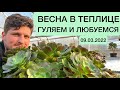 ВЕСНА В ТЕПЛИЦЕ С СУККУЛЕНТАМИ! ГУЛЯЕМ И СМОТРИМ ЧТО ВЫРОСЛО! 09.03.2022 ГЕОРГИЙ АРИСТОВ