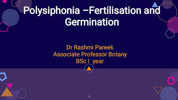 polysiphonia-fertilisation and post fertilization changes