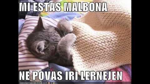 2-1:  Enkonduko:  Vortoj