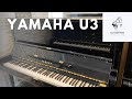 Piano yamaha u3