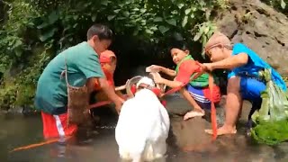 Serunya Mandiin Domba Bareng Bolang | SI BOLANG (10/07/23)